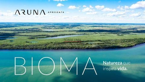 Imagem do lançamento